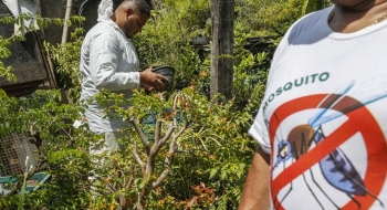 Combate ao Aedes aegypti deve ser intensificado nas férias